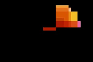 Price Waterhouse Coopers