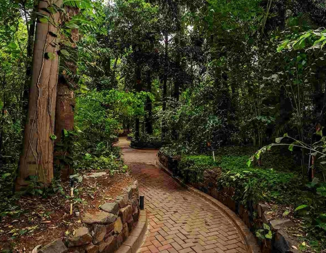 Lush Green Landscape