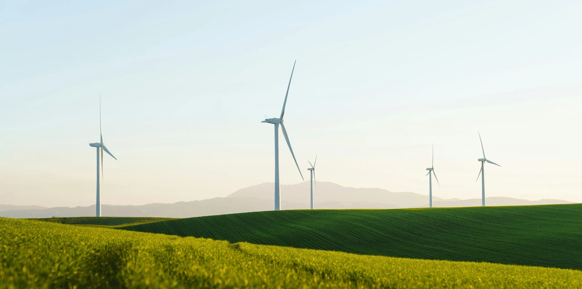 Sustainability