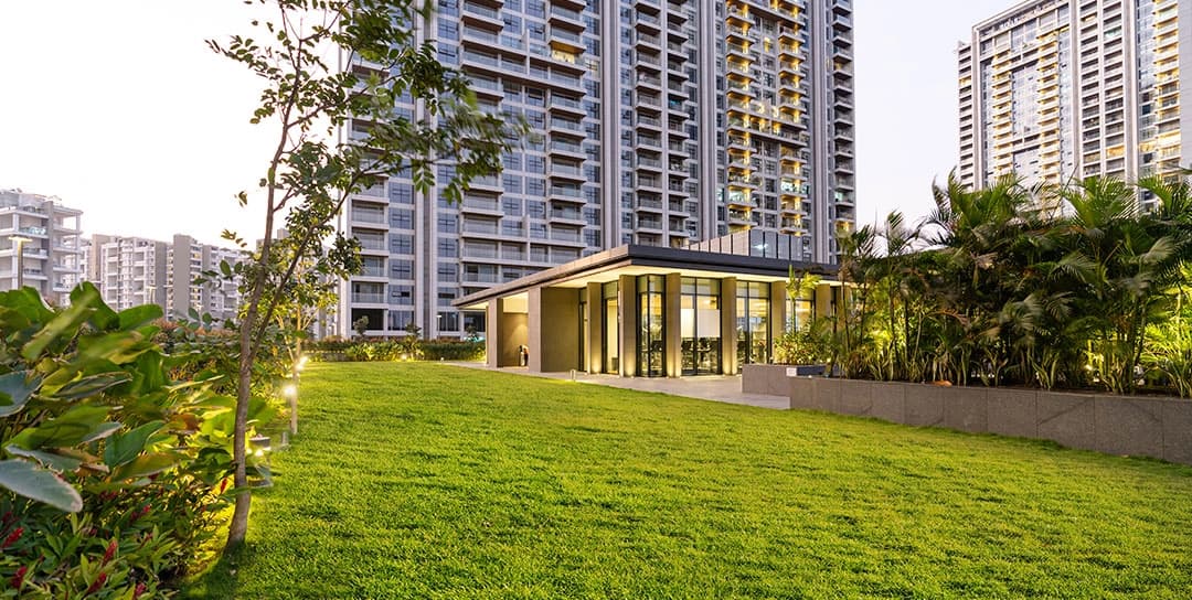 Multipurpose Lawn